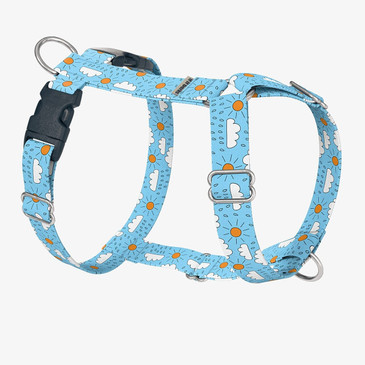 front view of harness front view of harness